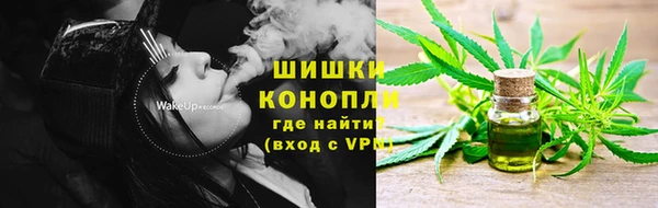 индика Покачи