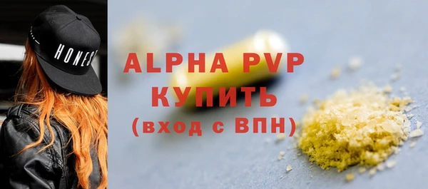индика Покачи