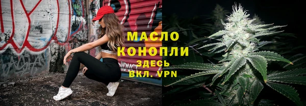 индика Покачи