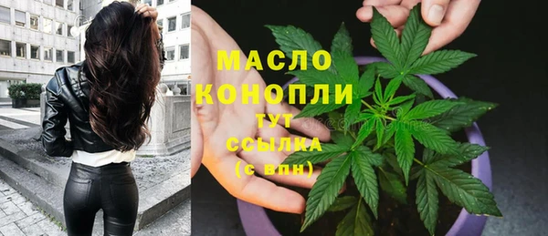 амф Протвино