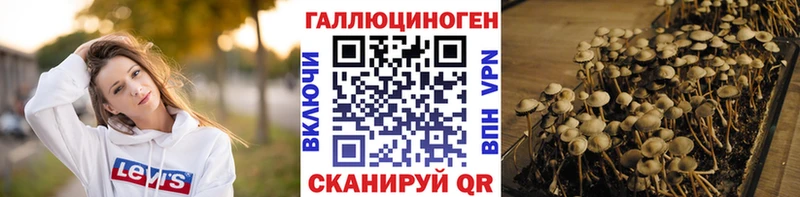 купить наркотики сайты Собинка Галлюциногенные грибы Psilocybine cubensis